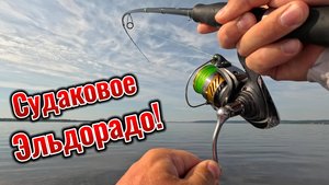 СУДАКОВОЕ ЭЛЬДОРАДО! РЫБАЛКА В ДОЖДЬ, ЛОВЛЯ СУДАКА НА ДЖИГ