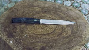 Кухонный нож. Кованый нож для кухни из стали 95Х18.