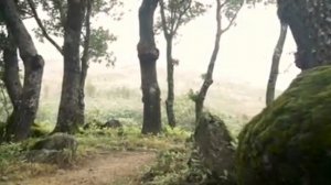 Сакральный женский танец ШАКТИ.