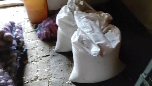 Что осталось на огороде__продаём всё.