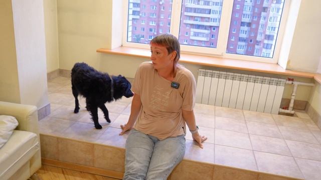 Какие бывают ветеринары? Дисплазия у собак. Генетические болезни собак. Разговор с кинологом[2/4] смотреть онлайн