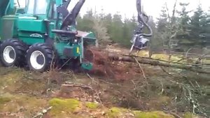 самоходный измельчитель древесины