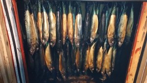закоптили скумбрию холодным копчением.