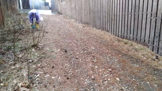 на даче 30.03.23 смотреть онлайн