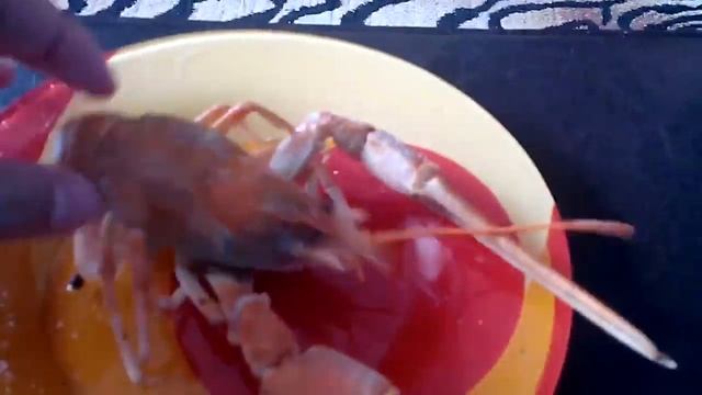 Живые раки смотреть онлайн