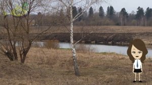 Как ловить плотву весной на поплавочную удочку? Как ловить плотву в марте апреле и мае? Плотва