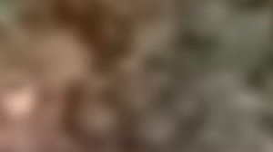 95 лет Нехаевскому району