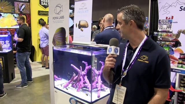 $5,800 Angelfish from POMA Labs Fincasters Episode 174 смотреть онлайн