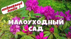 Малоуходный сад, цветущие рододендроны и советы ландшафтного дизайнера. 8 соток.