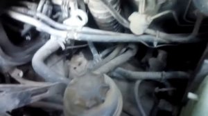 Что пищит? Вито 638