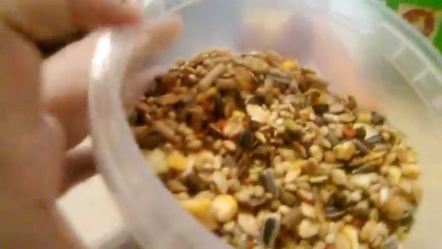 Что давать хомяку кроме корма? смотреть онлайн