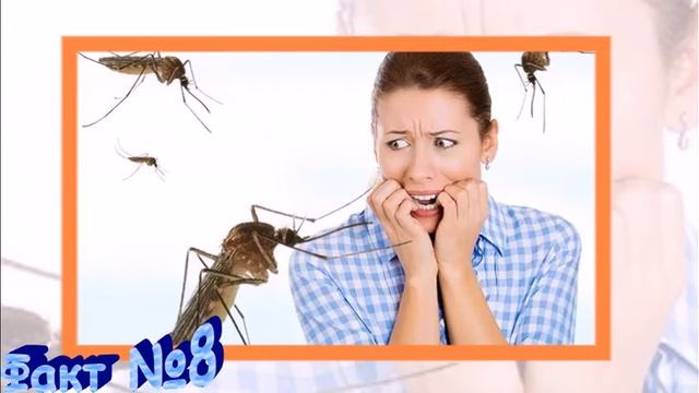 20 Интересных фактов о комарах! смотреть онлайн