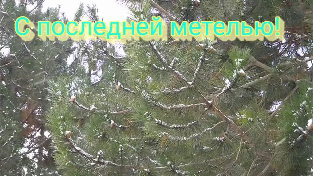 С началом весны! С первым днём весны!