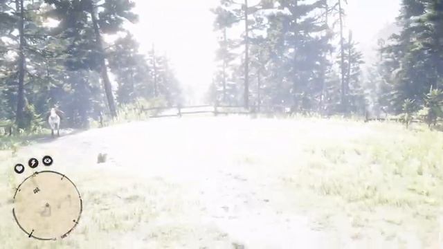 RDR 2 Пасхалки и Секреты Ограбление старушки