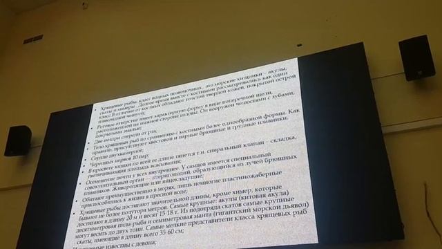 Блохин зоология хрящевые рыбы смотреть онлайн