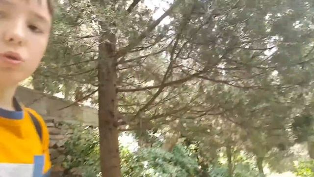 Приехали в санаторий Утес Алушта Крым