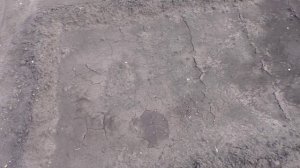 Как получить хорошие всходы в открытом грунте без применения мульчи