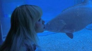 саблиминал избавление от насморка и заложенности носа