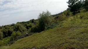 дикие дети