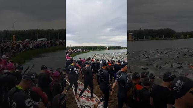 Плавание Титан 05.06.2016 олимпийская дистанция смотреть онлайн