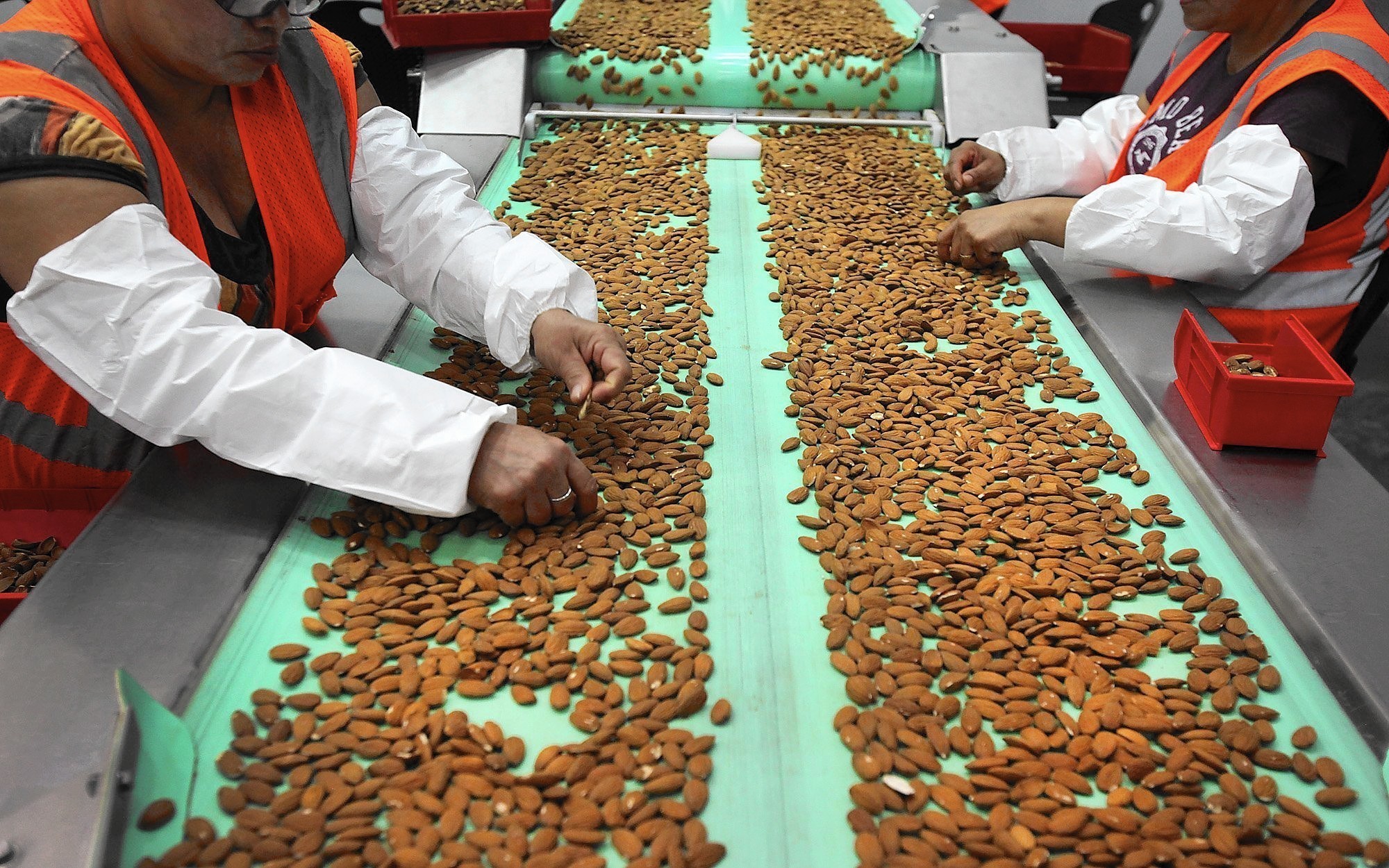 Производство росло. Almond Farm. Food and Water shortage in China.