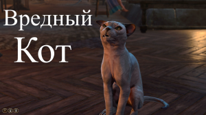 Baldur's Gate 3 - Полуорк варвар Вредный кот