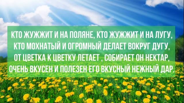 Загадка про жужжащуе существо над лугом над полянкой для детей с ответами смотреть онлайн