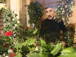 Следствие вели... - "Вернуться, чтобы отомстить!"