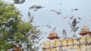 Влад Маленко  -  Сколько времени  ✅  Vlad Malenko - What time is it