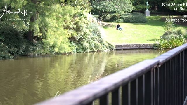 Sirui 35mm F1.8 Anamorphic on Sony A6600 смотреть онлайн