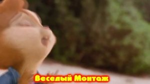 Ты Моя Нежность Ты мое Чудо поют Элвин и Бурундуки