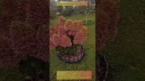 "Скайфолл" Гортензия Метельчатая #наташинИсерёжинСАД осенью