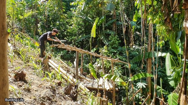 Build A Beautiful Bamboo Pig Cage, Forest Life, Building Life, Episode 15 смотреть онлайн