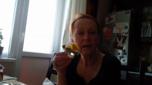 Рассказ о растениях. смотреть онлайн