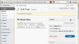 Create Blog Post | WordPress Top Pro Training Group