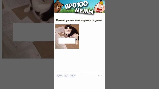 Короткие приколы и мемы с озвучкой 12+ #shorts #мемы #приколы #котики #анекдоты