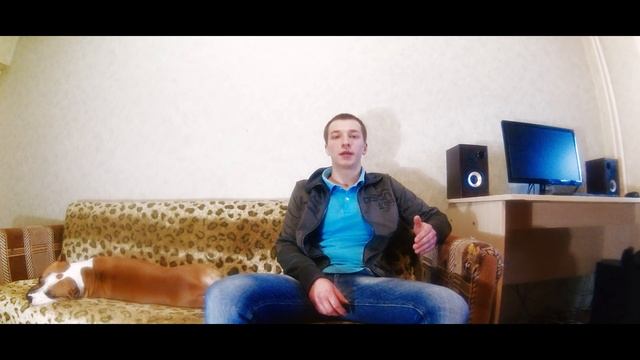 Чем отличается питбуль от стаффорда,кого лучше брать