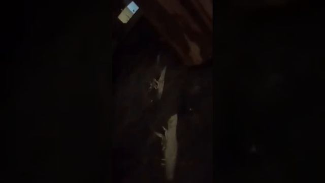 Как правильно чистить дымоход смотреть онлайн