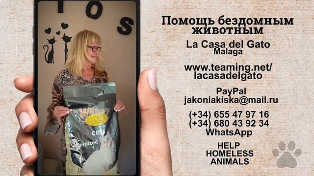 Челлендж.  Помощь бездомным животным. Поделись этим видео!