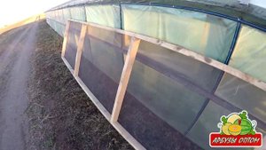 Делаем сушилки для семян 30 09 2015