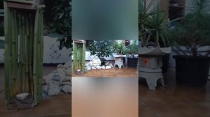 Торо ( фонарь) своими руками из цементного состава .В Японии дай-дōрō ( яп. 台 灯籠 лампа на платформ