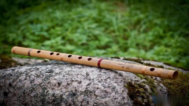 || Titanic || Flute music || #Flute #Instumental #flutemusic #hollywood смотреть онлайн