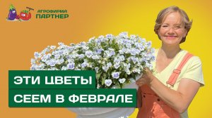 КАКИЕ ЦВЕТЫ НУЖНО ПОСЕЯТЬ В ФЕВРАЛЕ