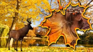 Задумчивая осень Автор музыки исполнитель Вадим Наместников слова Лена Шевченко Иванова