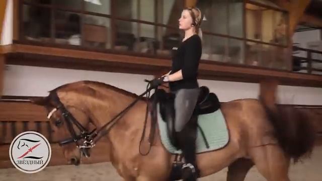 Выездка. Тренировка у Виктора Петровича Угрюмова смотреть онлайн