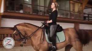 Выездка. Тренировка у Виктора Петровича Угрюмова