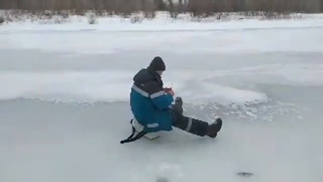 Мотособаки Онлайн) смотреть онлайн