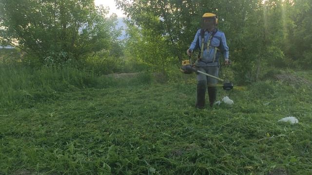 Поднагрузил #бензокосу работой. Alpina Star 55DP Не #Stihl / Loaded up the gas mower with work. смотреть онлайн