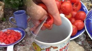 ЧЕРРИ ПОМИДОРКИ  КАК СОБРАТЬ СЕМЕНА
