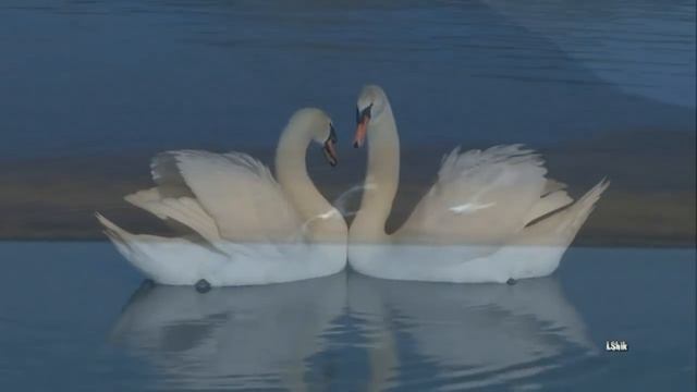 Оркестр Поля Мориа. Paul Mauriat Orchestra. смотреть онлайн